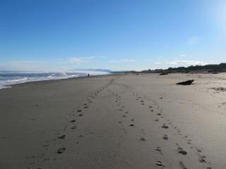 Shining Star Beachfront Accommodation Hokitika Exteriör bild